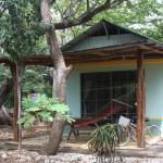 IMG_6958.JPG