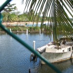 IMG_7356.JPG