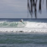 IMG_7650.JPG