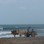 IMG_7812.JPG